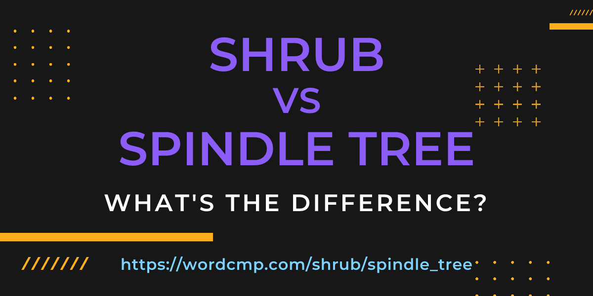 Difference between shrub and spindle tree