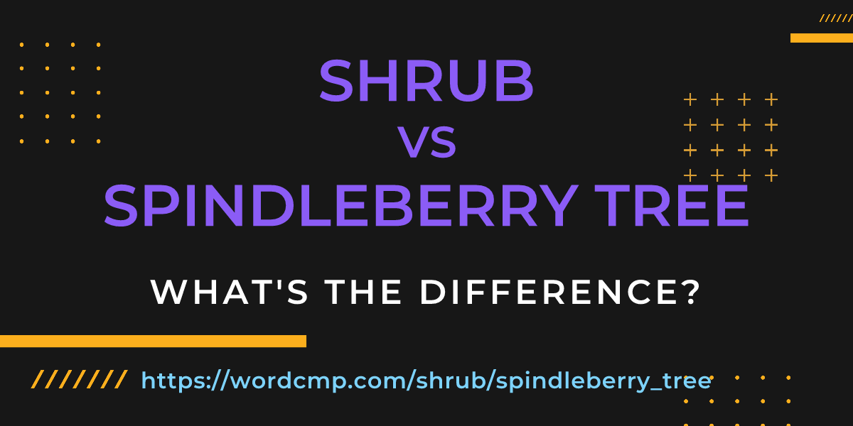 Difference between shrub and spindleberry tree