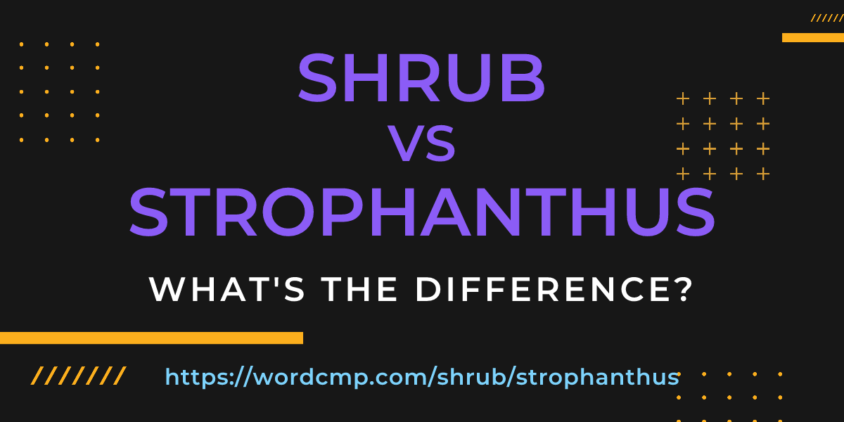 Difference between shrub and strophanthus