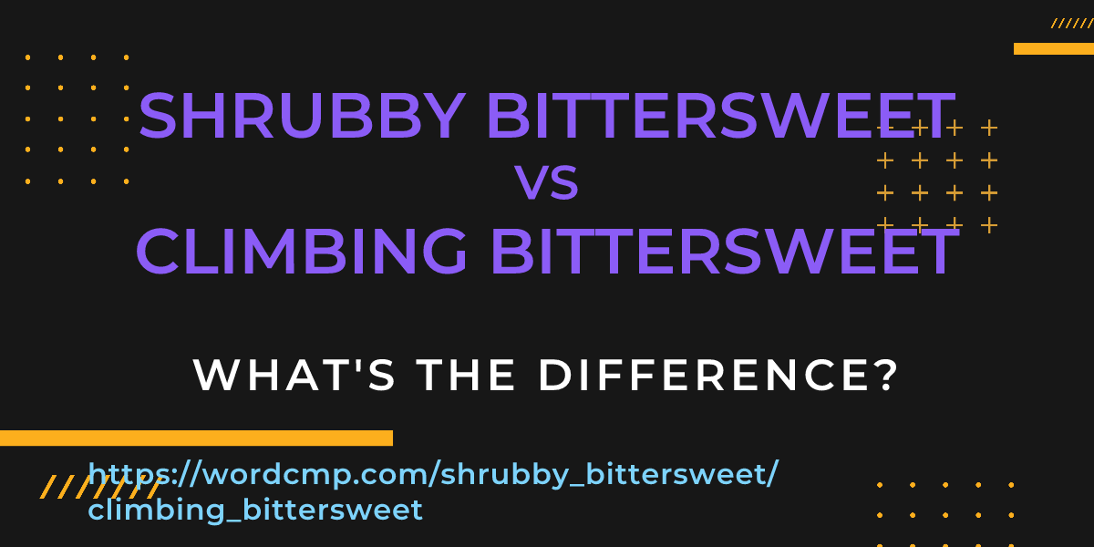 Difference between shrubby bittersweet and climbing bittersweet