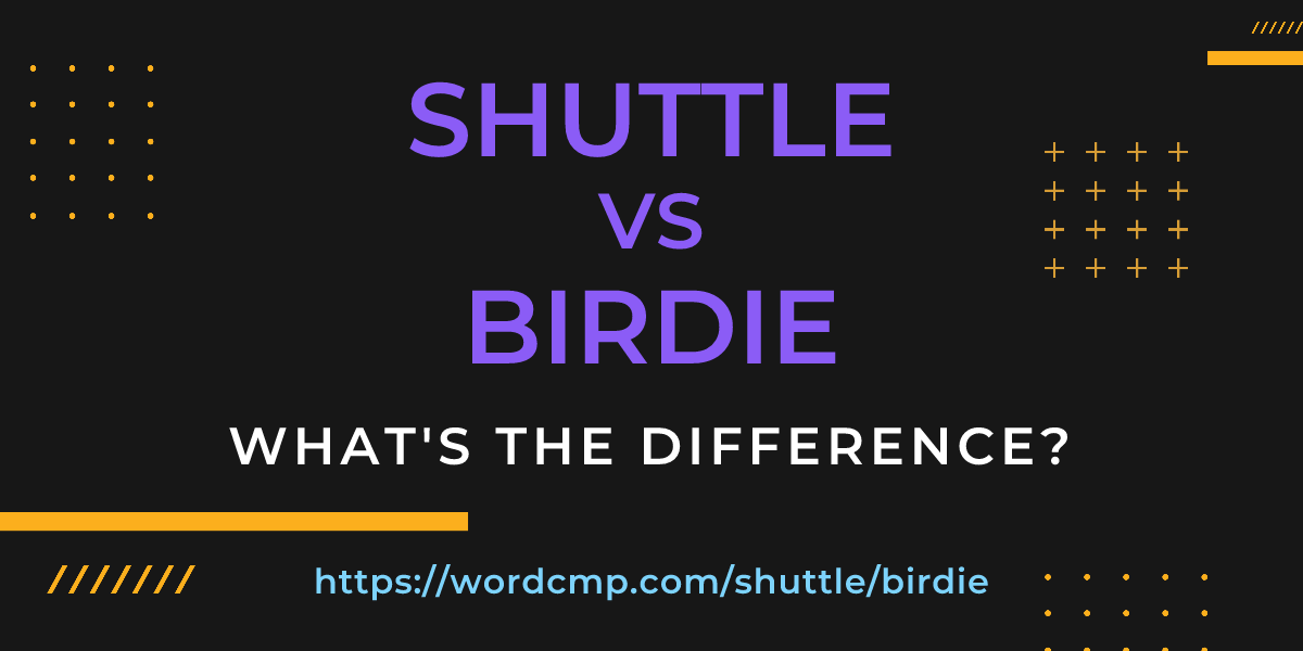 Difference between shuttle and birdie