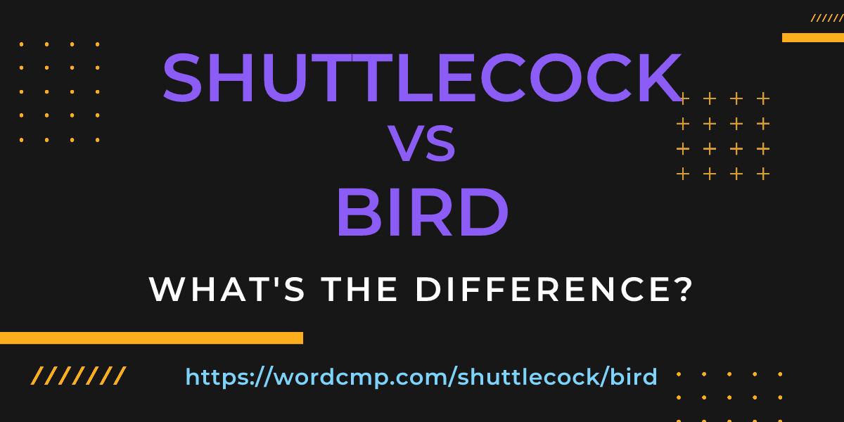 Difference between shuttlecock and bird