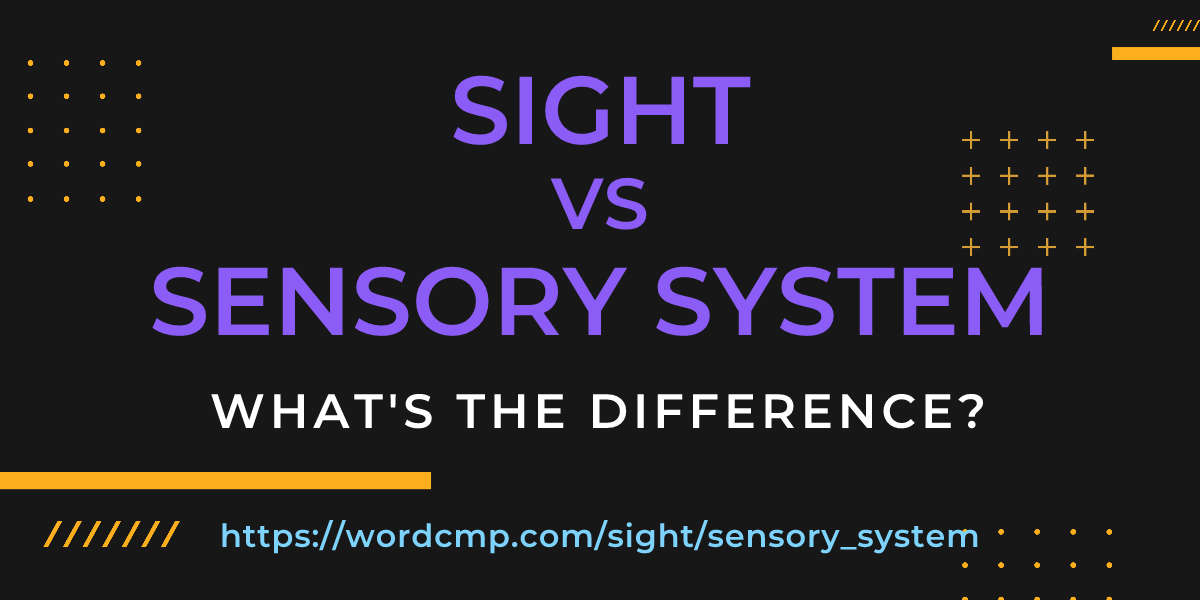 Difference between sight and sensory system