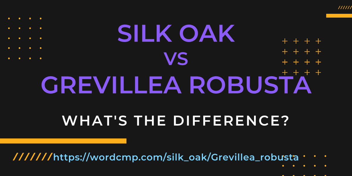 Difference between silk oak and Grevillea robusta