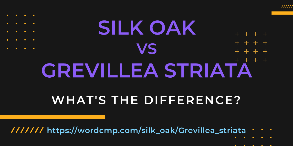 Difference between silk oak and Grevillea striata