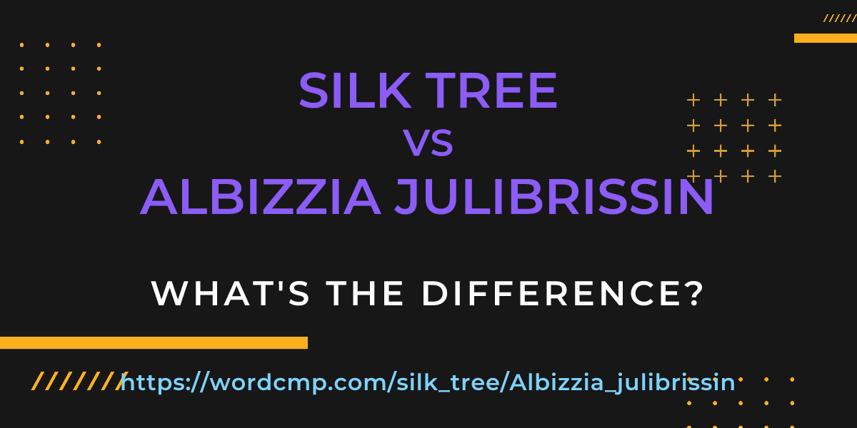 Difference between silk tree and Albizzia julibrissin