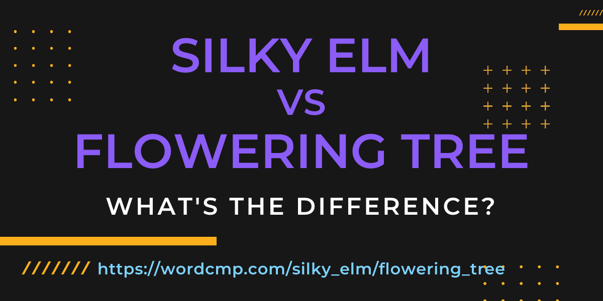 Difference between silky elm and flowering tree