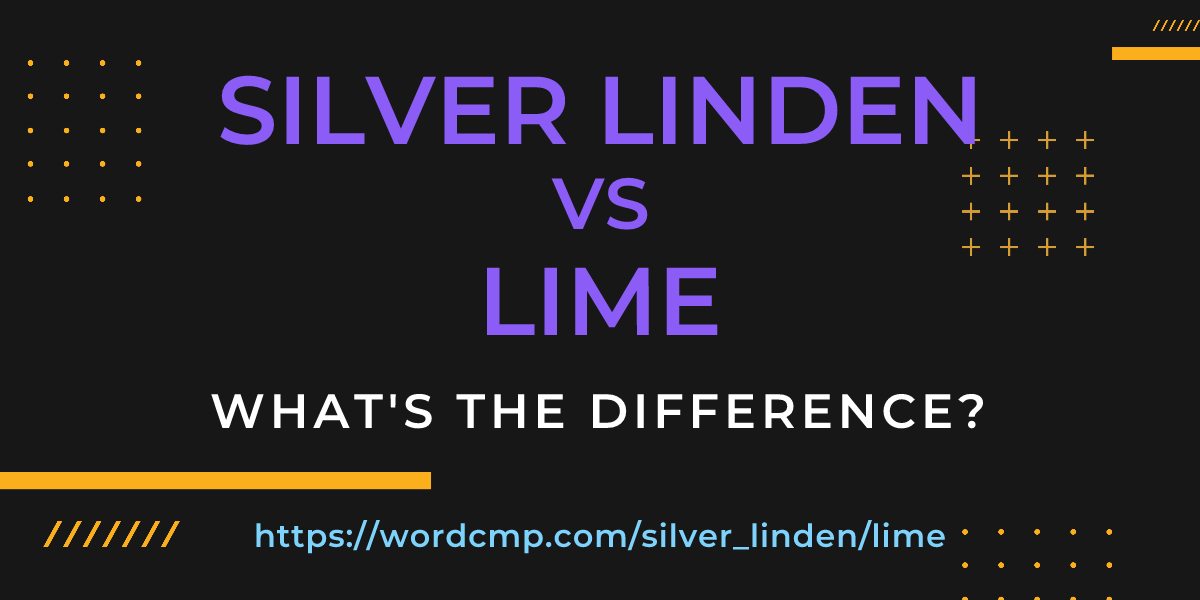 Difference between silver linden and lime