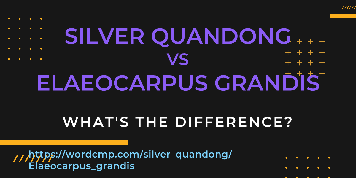 Difference between silver quandong and Elaeocarpus grandis