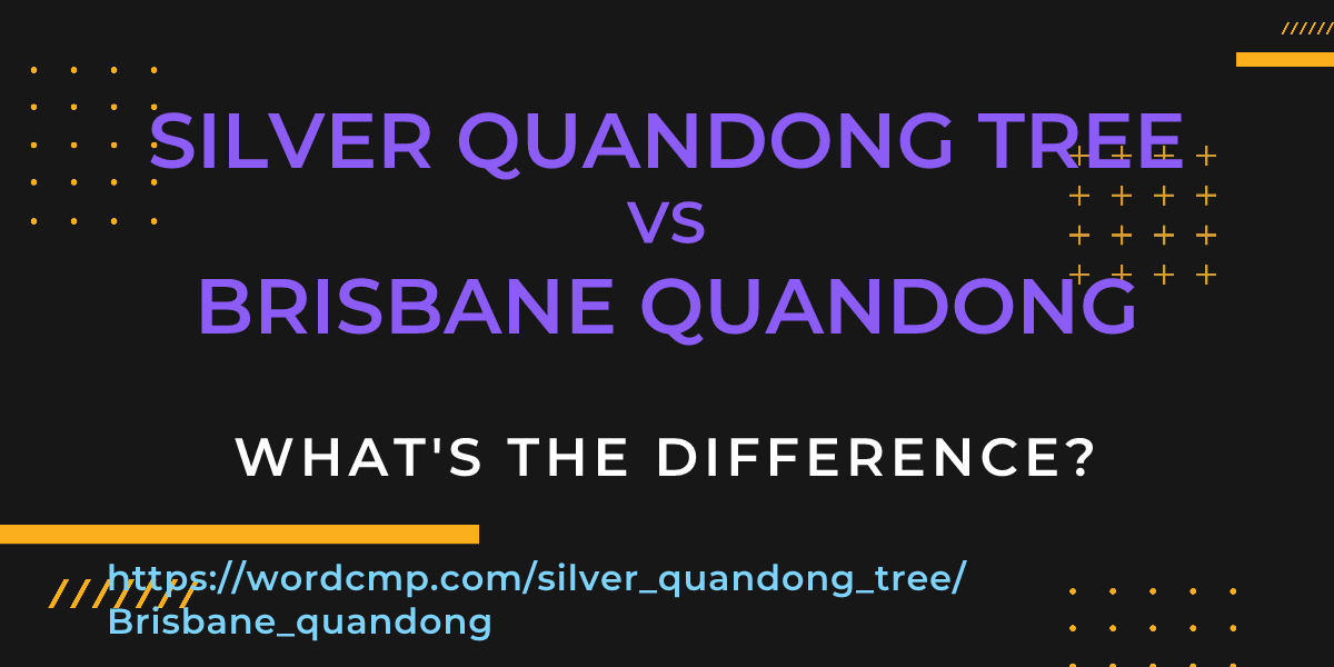 Difference between silver quandong tree and Brisbane quandong