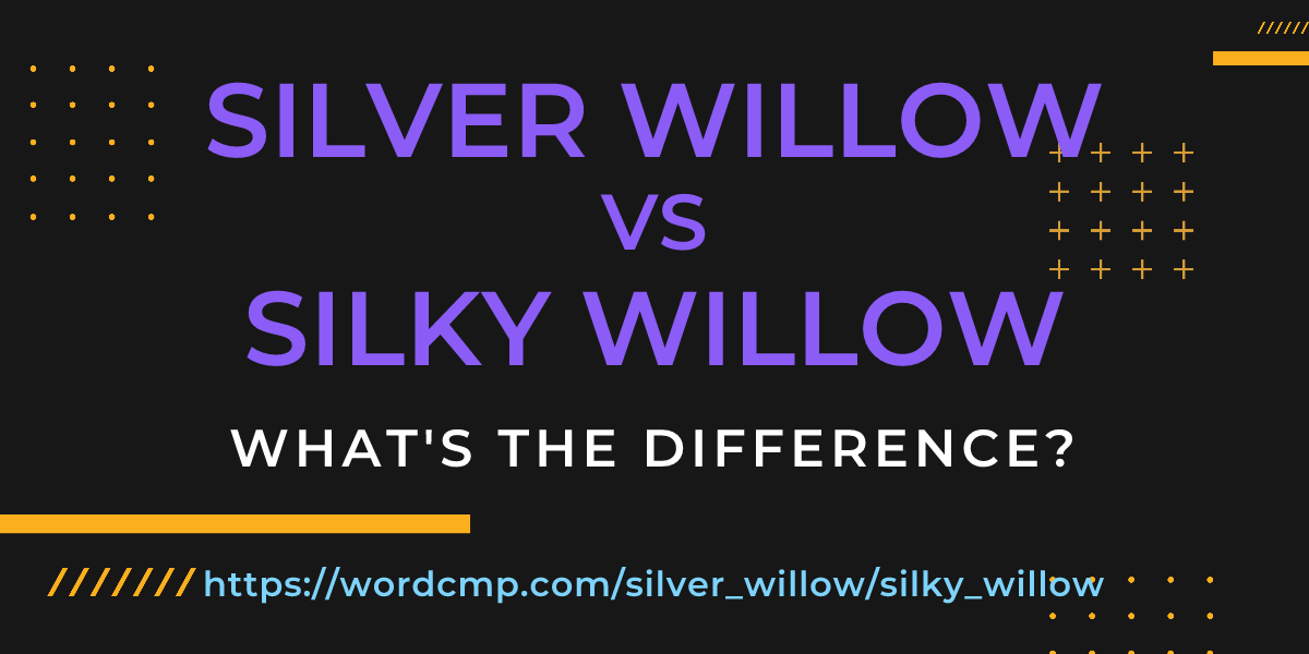 Difference between silver willow and silky willow