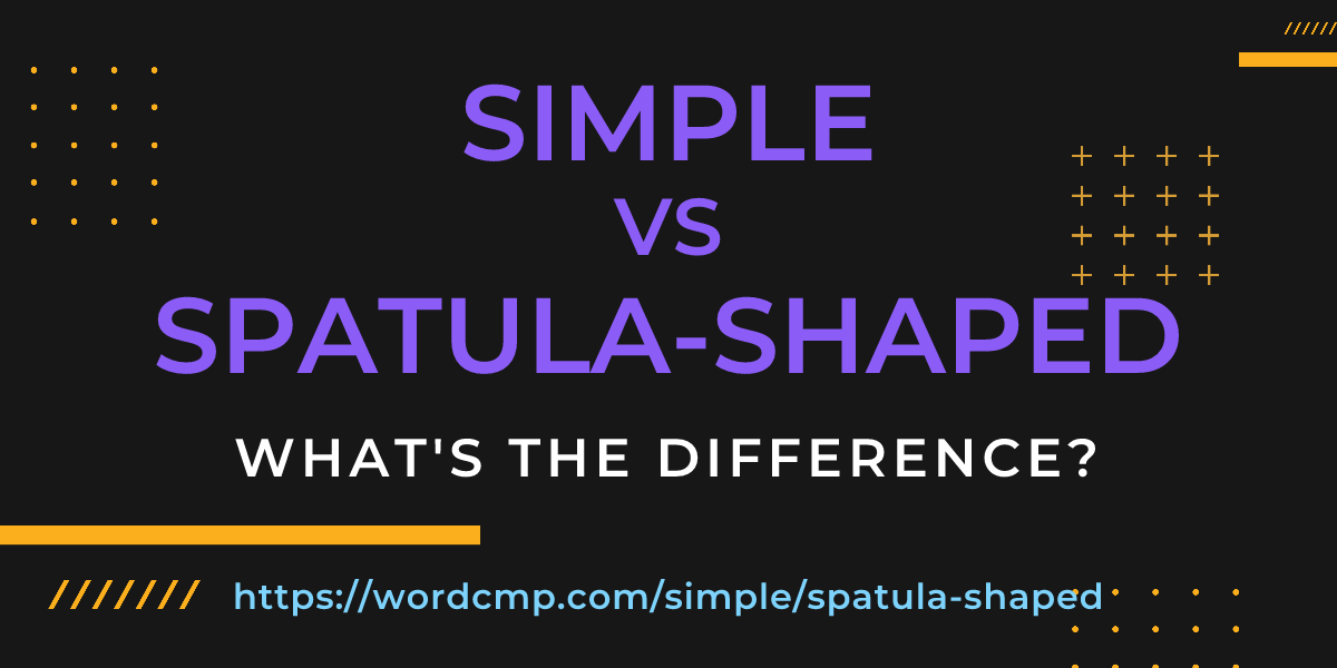 Difference between simple and spatula-shaped