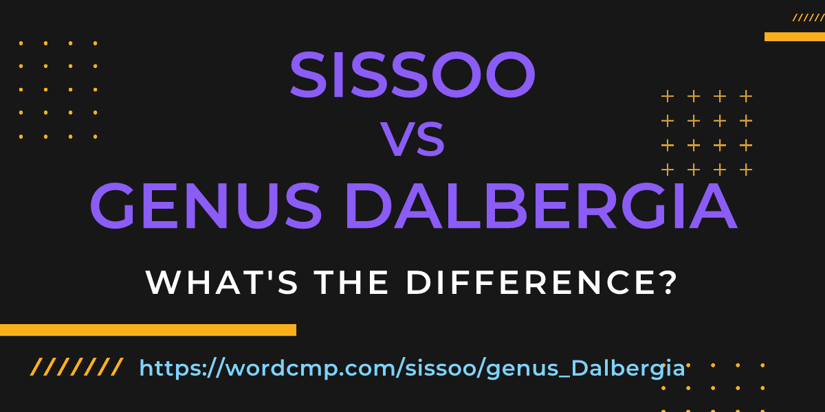 Difference between sissoo and genus Dalbergia