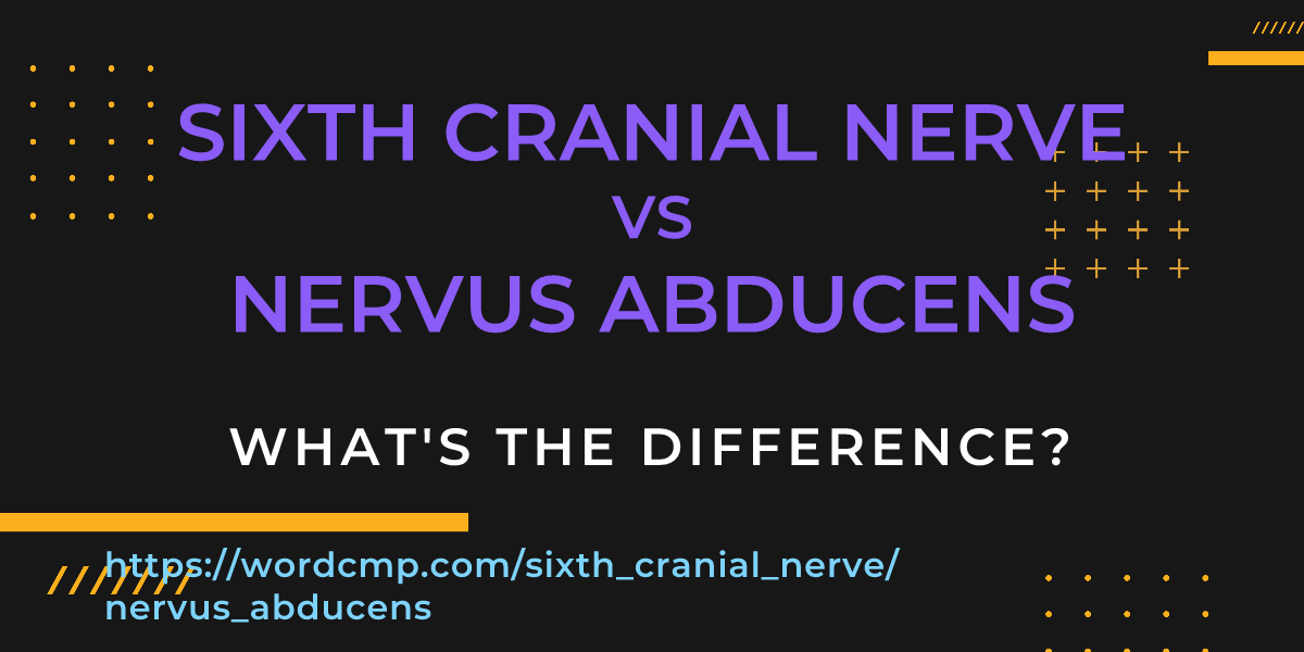 Difference between sixth cranial nerve and nervus abducens