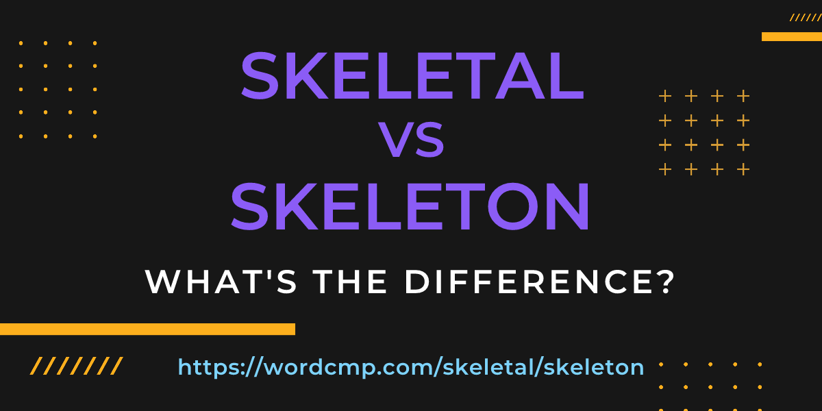 Difference between skeletal and skeleton