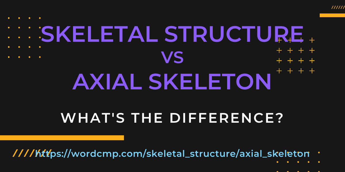 Difference between skeletal structure and axial skeleton