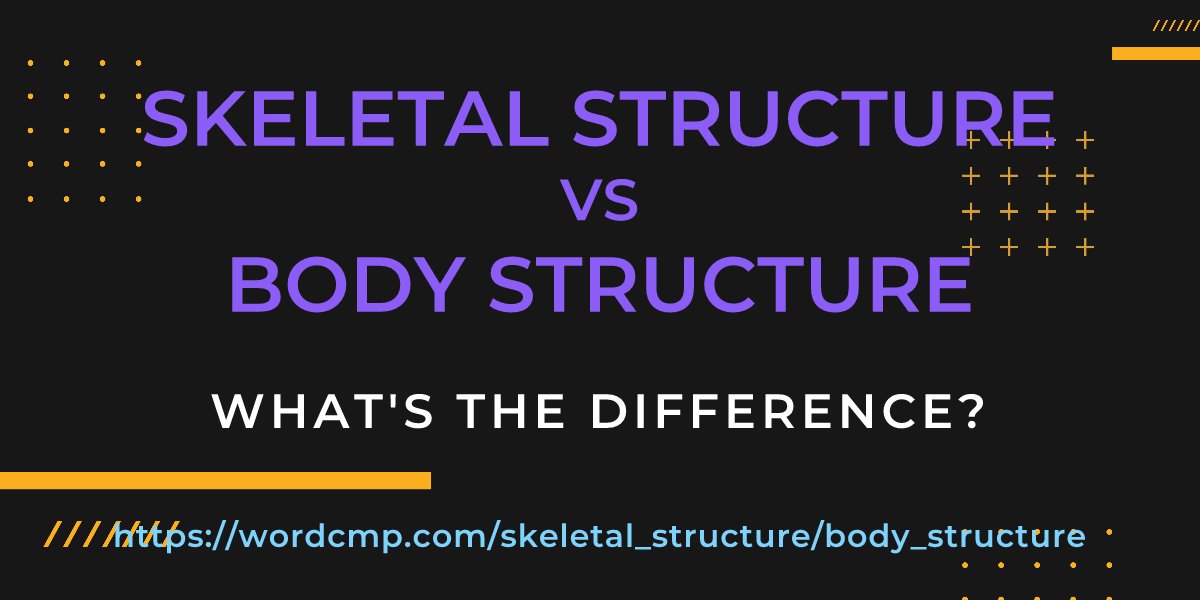 Difference between skeletal structure and body structure