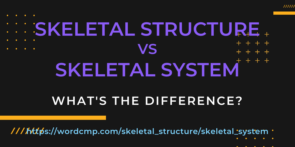 Difference between skeletal structure and skeletal system