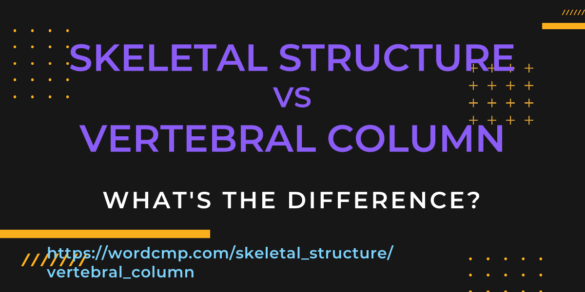 Difference between skeletal structure and vertebral column