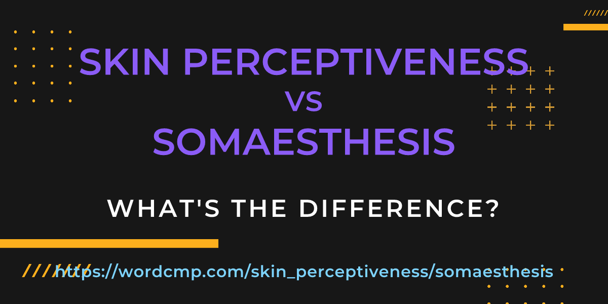 Difference between skin perceptiveness and somaesthesis