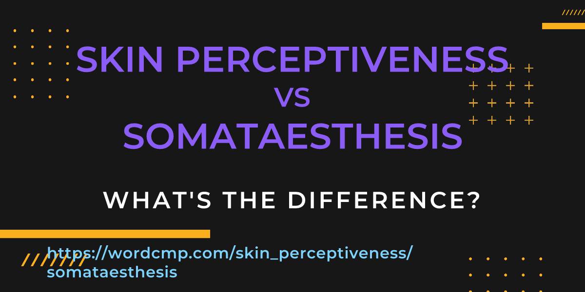 Difference between skin perceptiveness and somataesthesis