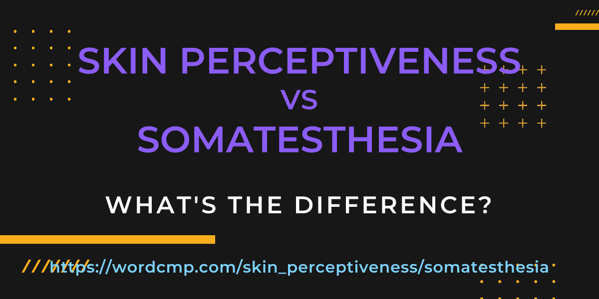 Difference between skin perceptiveness and somatesthesia