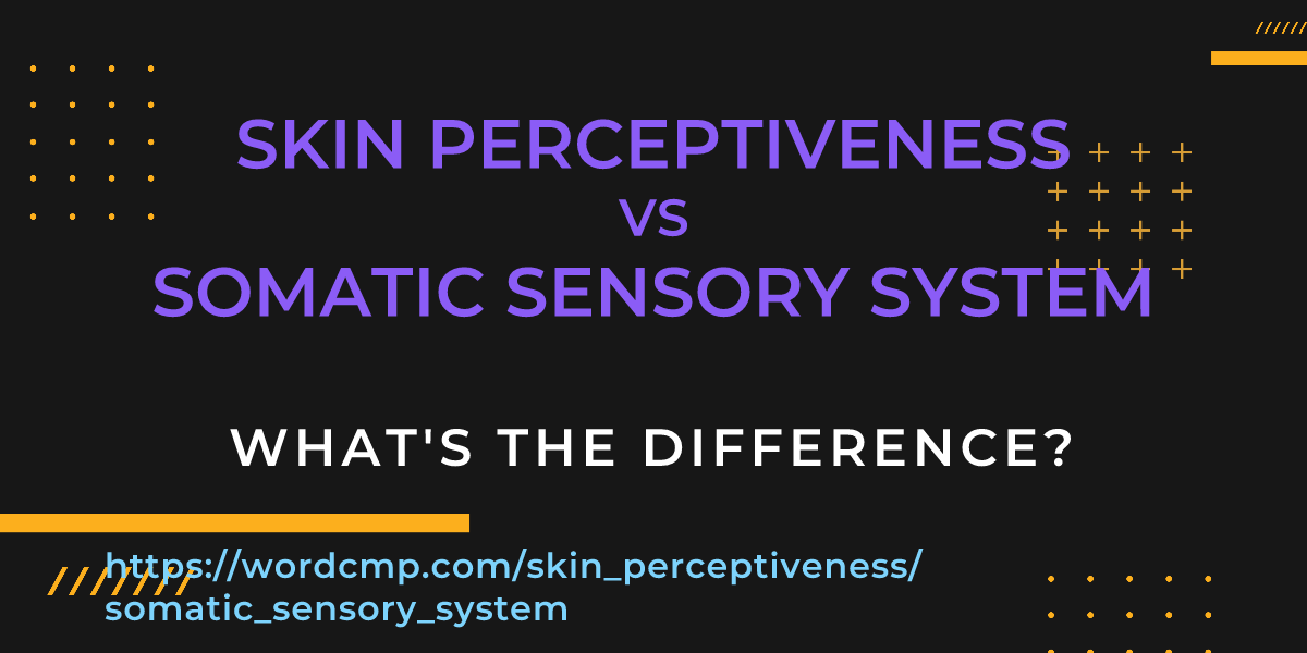 Difference between skin perceptiveness and somatic sensory system
