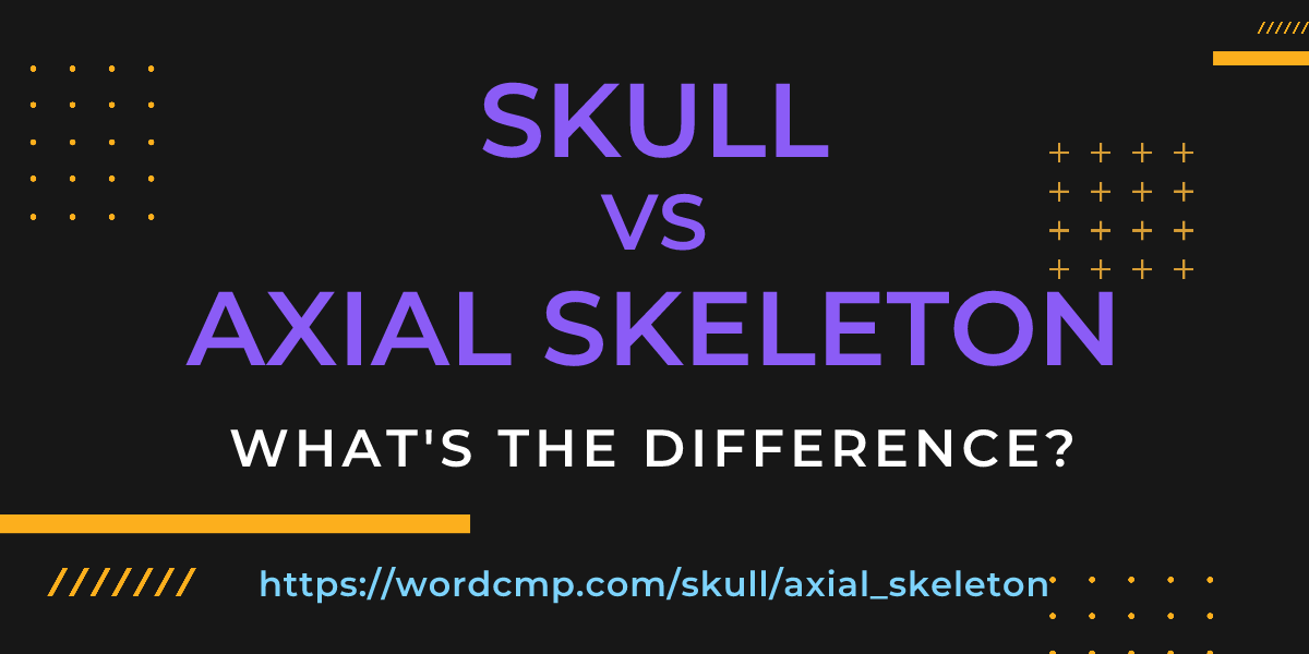 Difference between skull and axial skeleton
