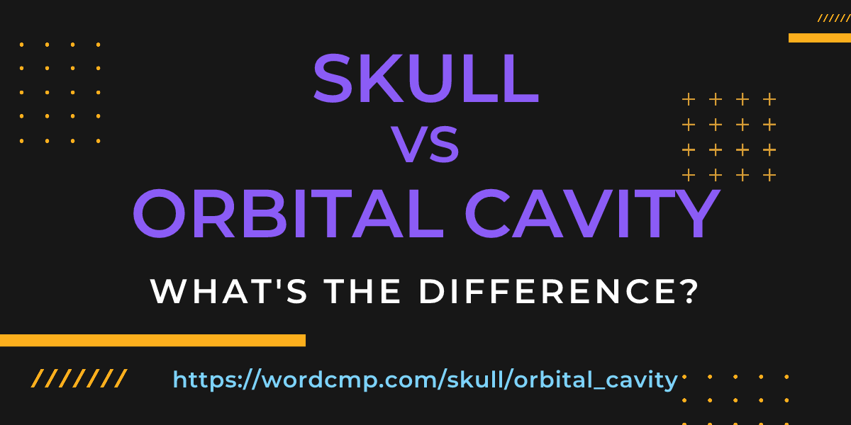 Difference between skull and orbital cavity