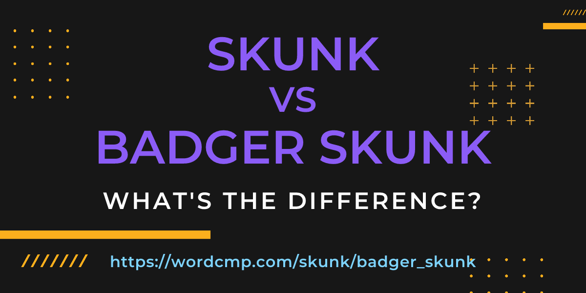 Difference between skunk and badger skunk