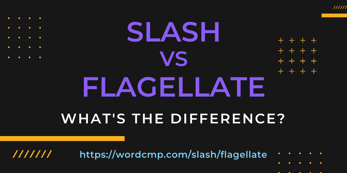 Difference between slash and flagellate