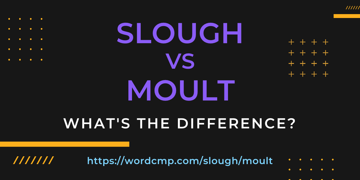 Difference between slough and moult