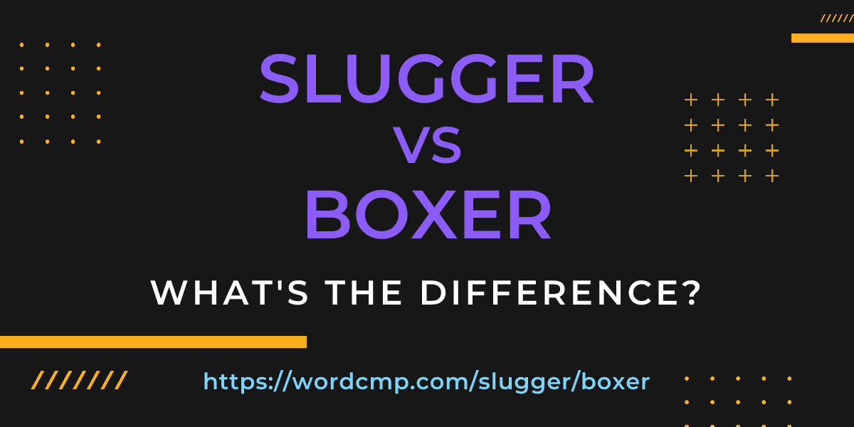 Difference between slugger and boxer