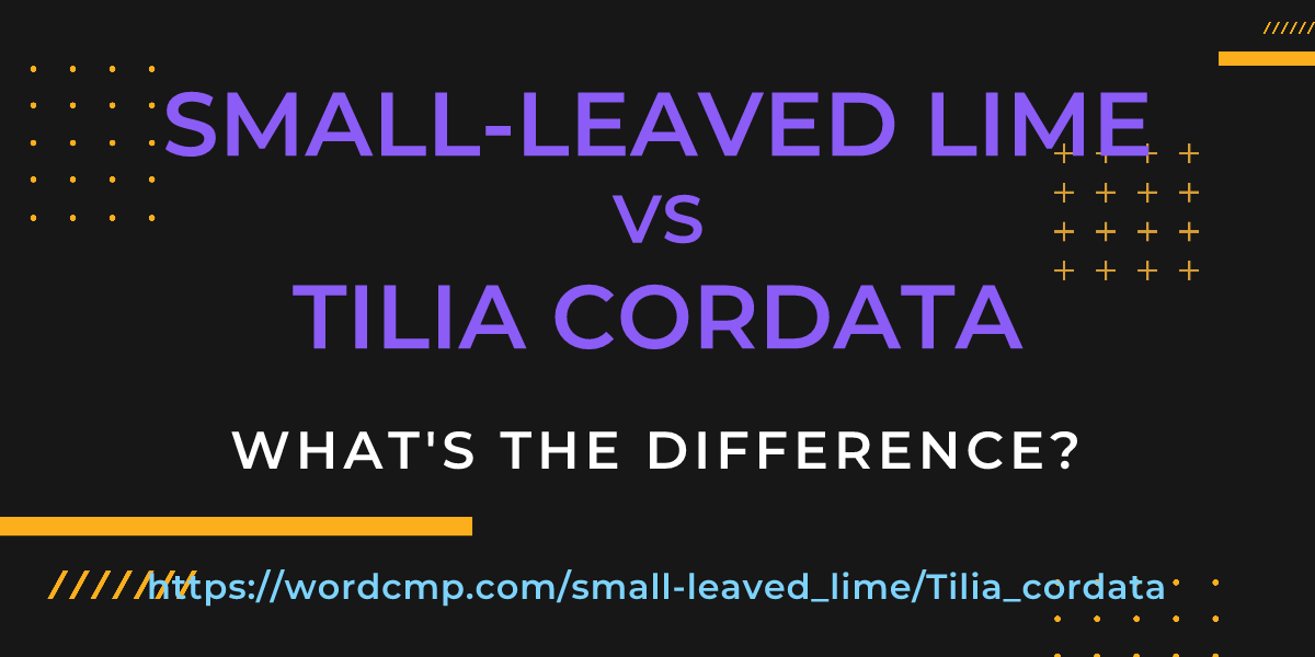 Difference between small-leaved lime and Tilia cordata