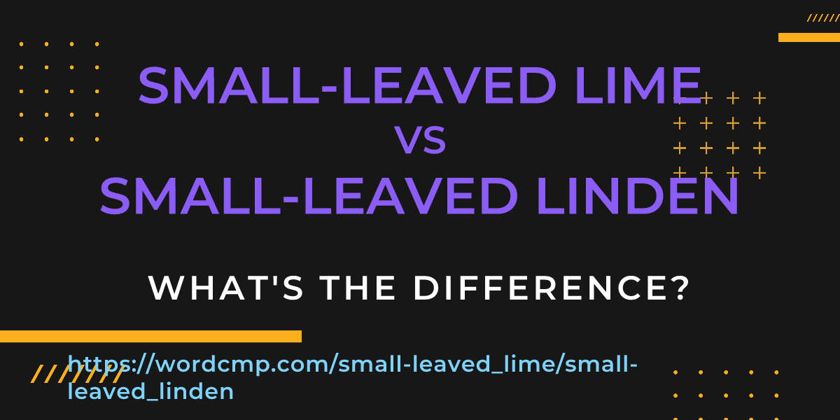 Difference between small-leaved lime and small-leaved linden