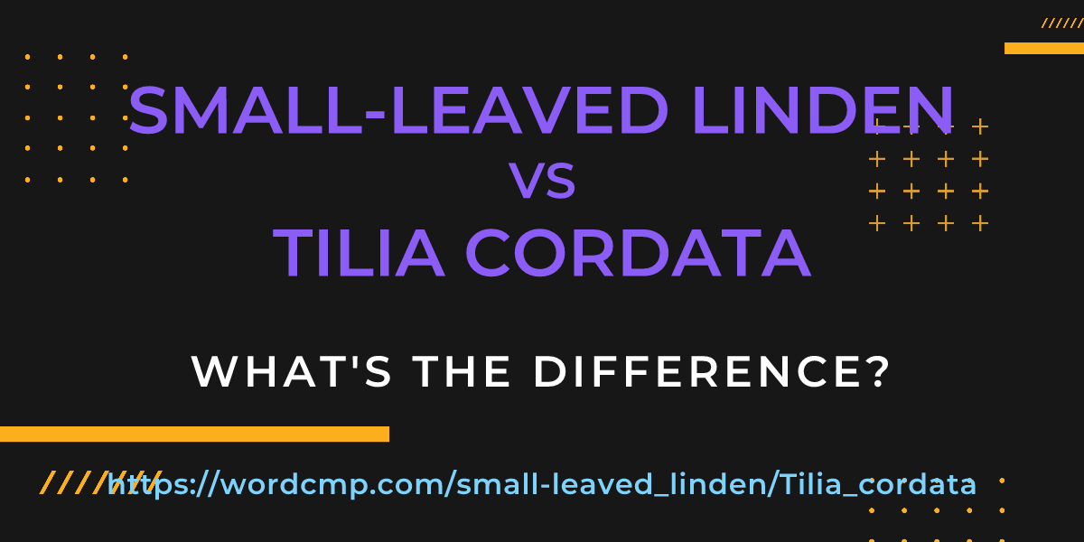 Difference between small-leaved linden and Tilia cordata