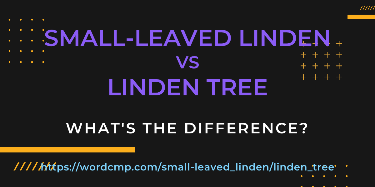 Difference between small-leaved linden and linden tree
