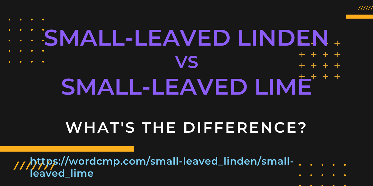 Difference between small-leaved linden and small-leaved lime