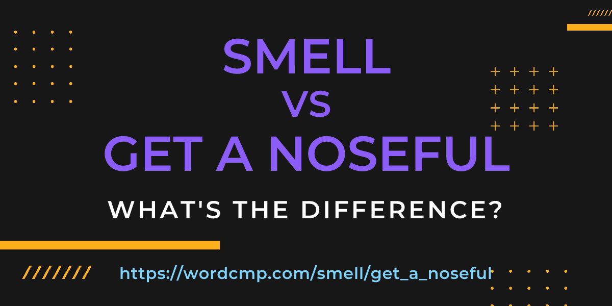 Difference between smell and get a noseful