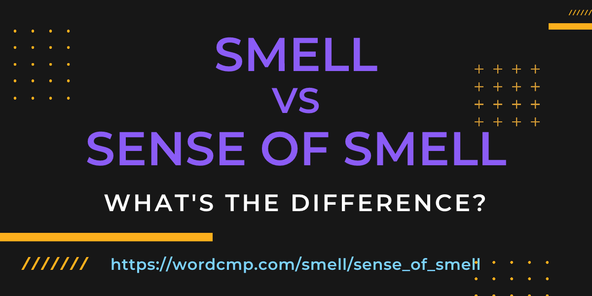 Difference between smell and sense of smell