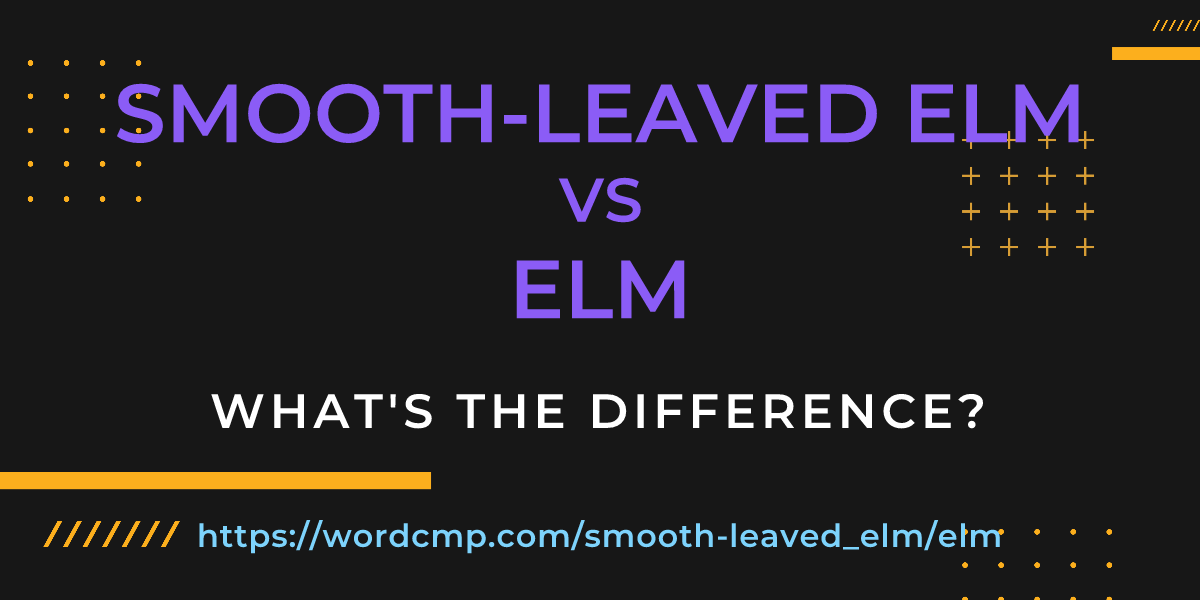 Difference between smooth-leaved elm and elm