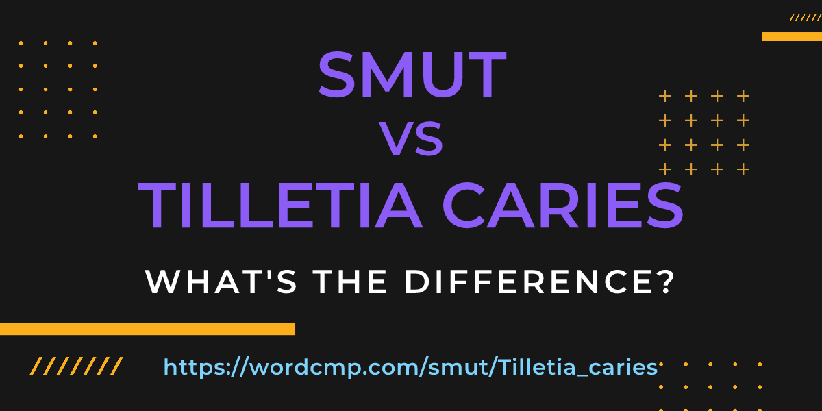 Difference between smut and Tilletia caries