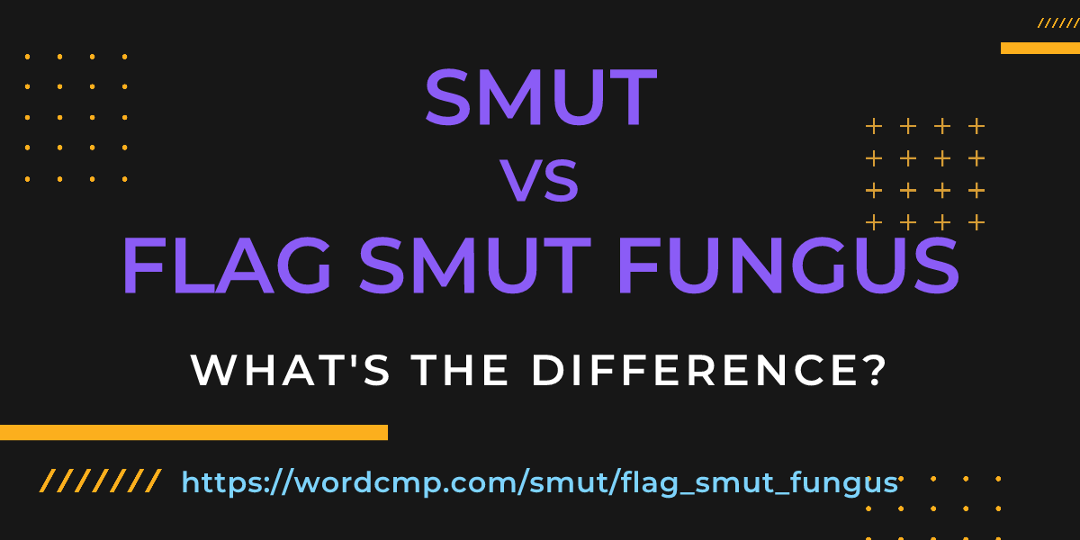 Difference between smut and flag smut fungus