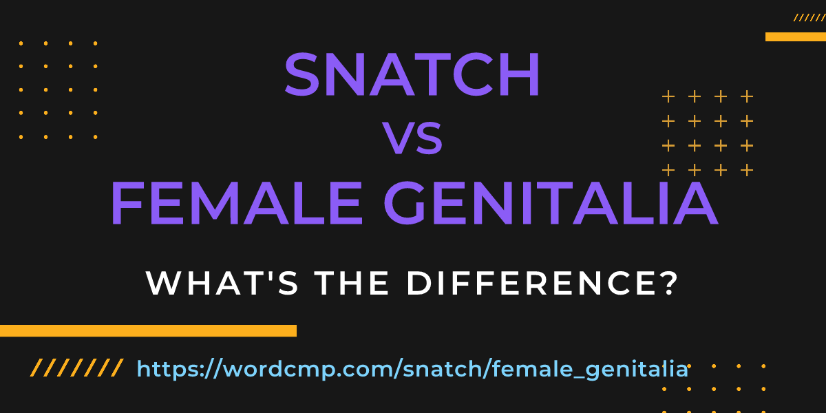Difference between snatch and female genitalia