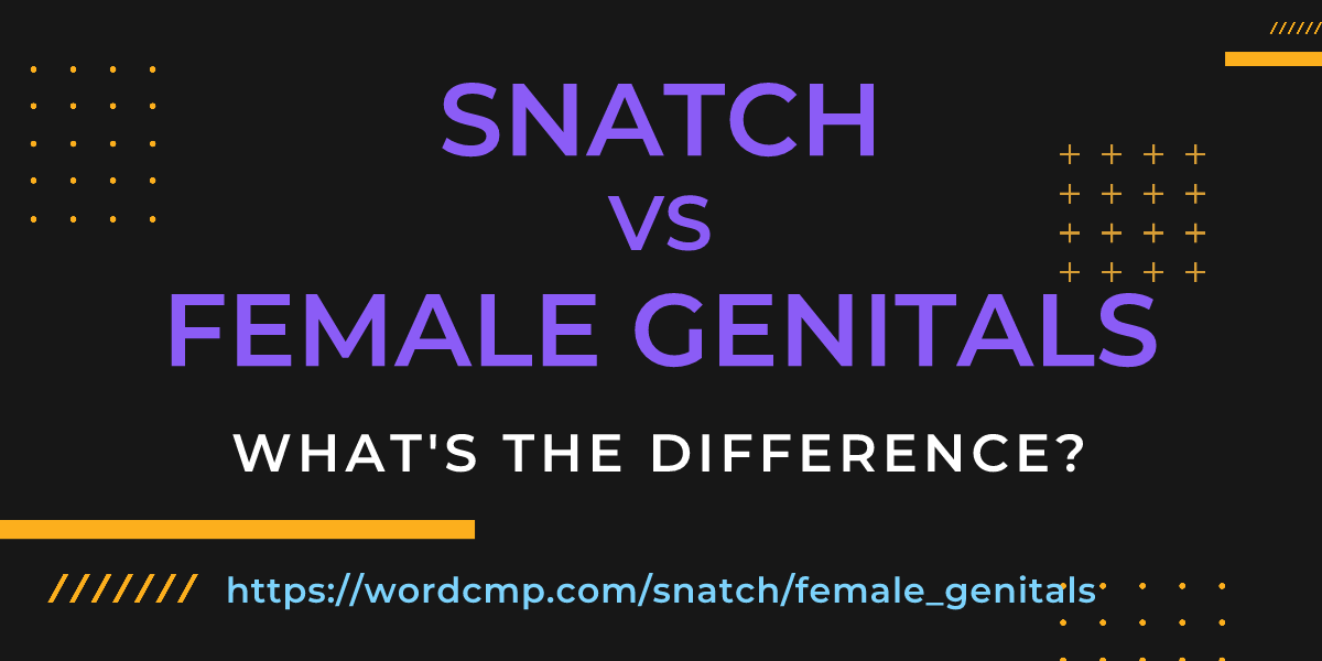 Difference between snatch and female genitals