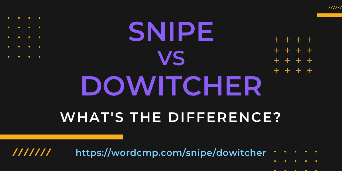 Difference between snipe and dowitcher