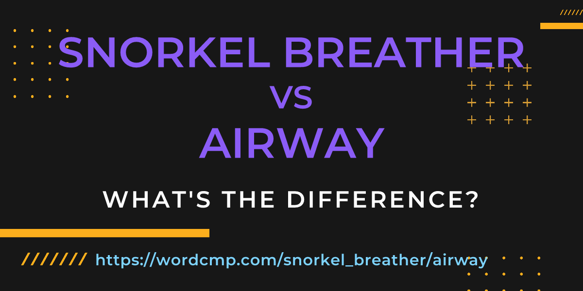 Difference between snorkel breather and airway