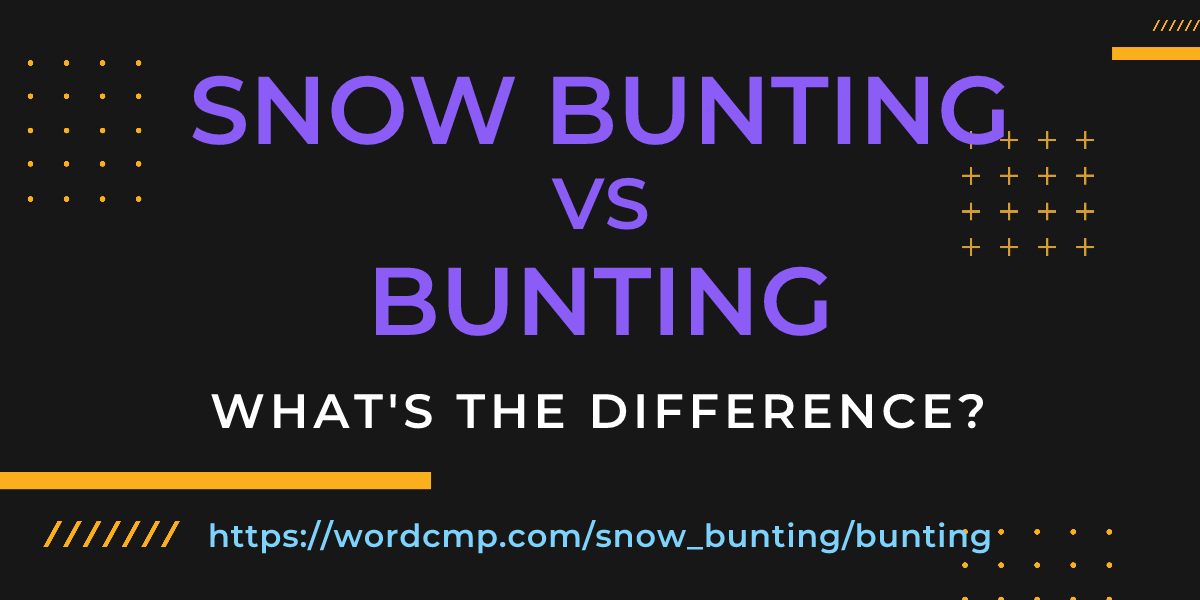 Difference between snow bunting and bunting