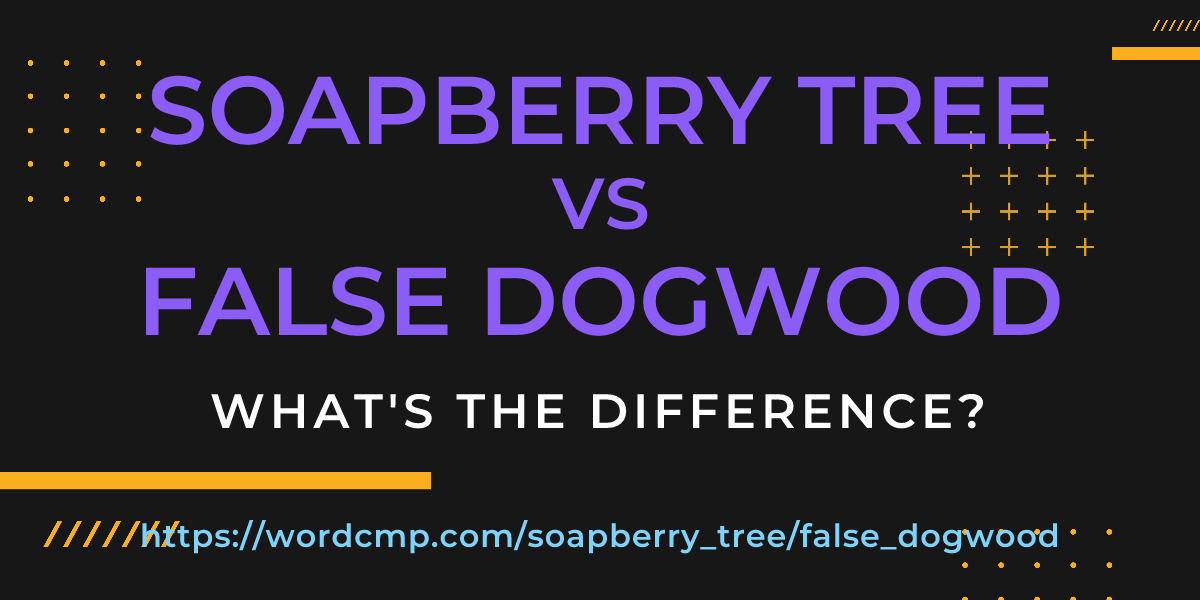 Difference between soapberry tree and false dogwood