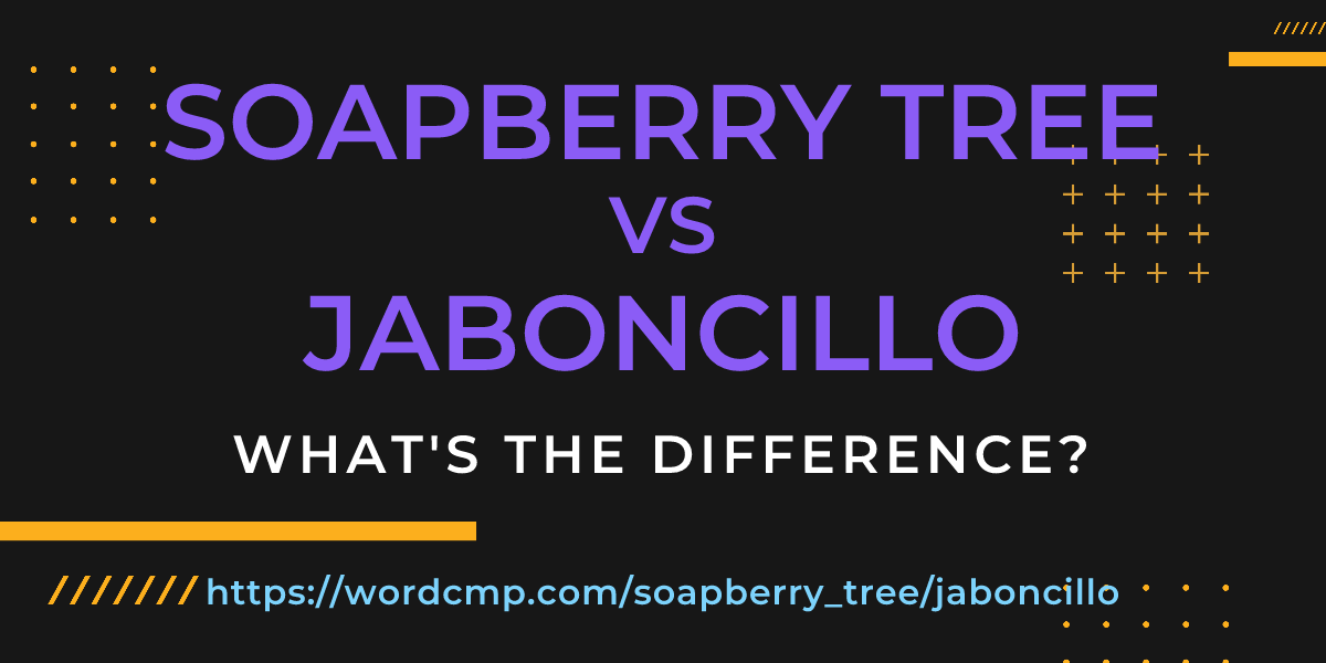 Difference between soapberry tree and jaboncillo